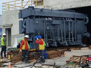 Plant Work 6